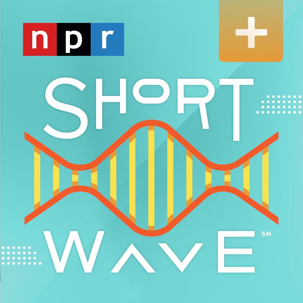 Short Wave